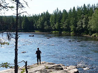 angeln salmoniden camp dalarna