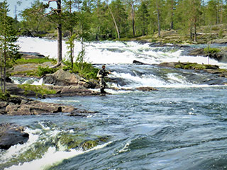 Fliegenfischen Schwedisch Lappland